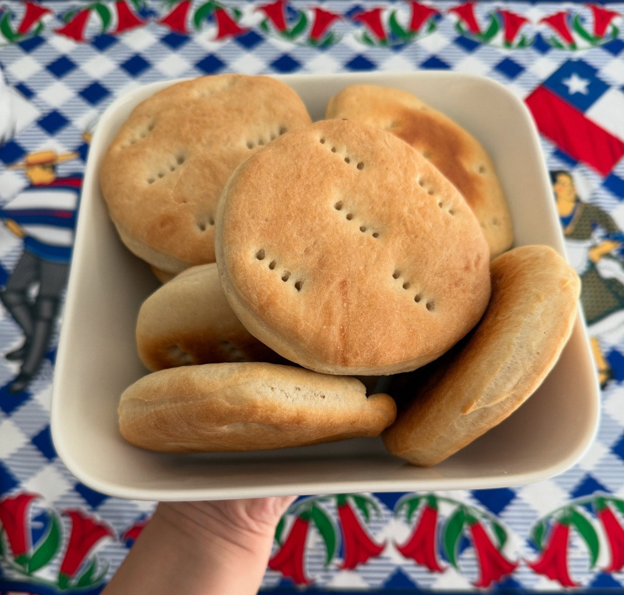 14 DAY PLAN: 48UNITS MARRAQUETAS/HALLULAS/ DOBLADITAS